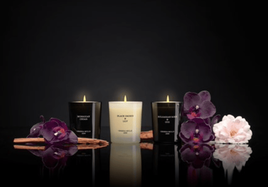 Home Fragrance Collection