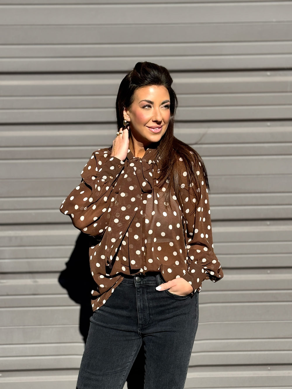 Brown Polka Dot Blouse