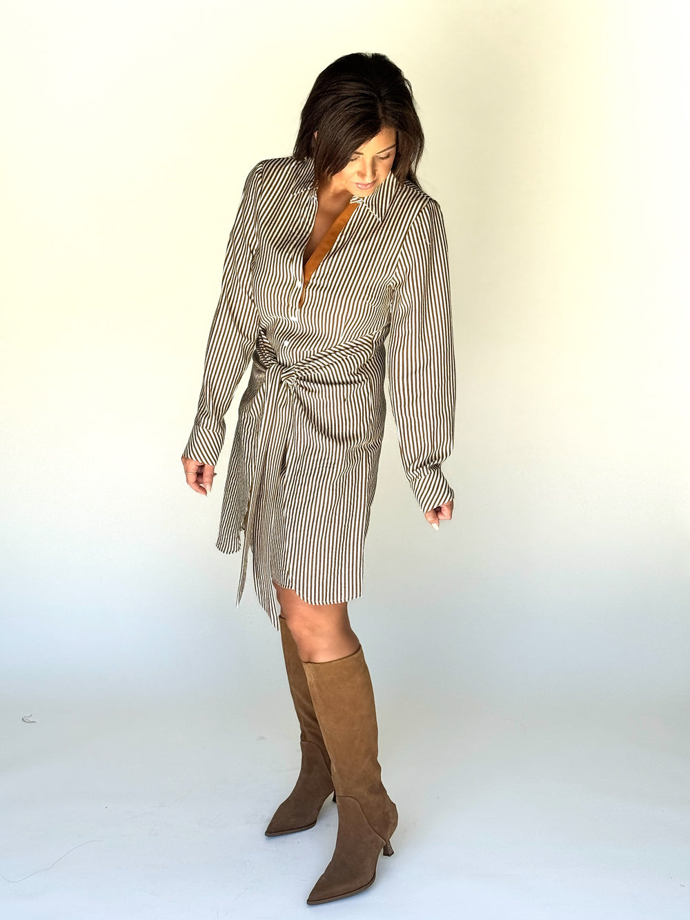 THML Brown Stripe Dress