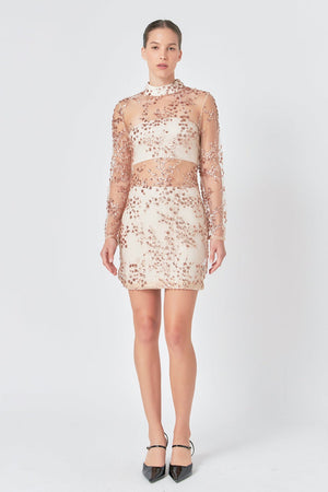 Elijah Embroidered Sequins Dress