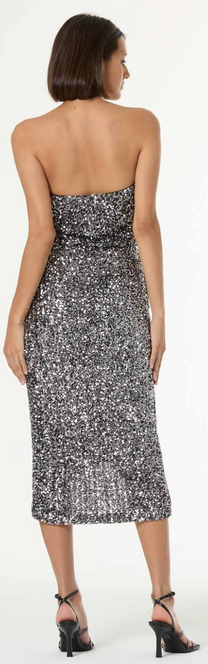 Zodiac Strapless Dress