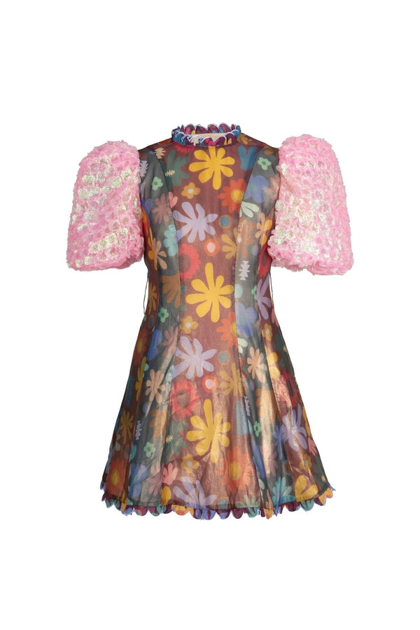 Celia B Hará Dress