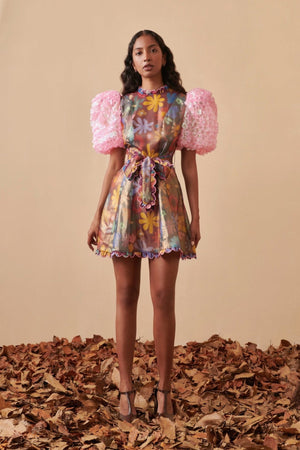Celia B Dress