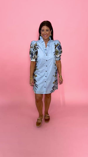 Afternoon in Paris Dress